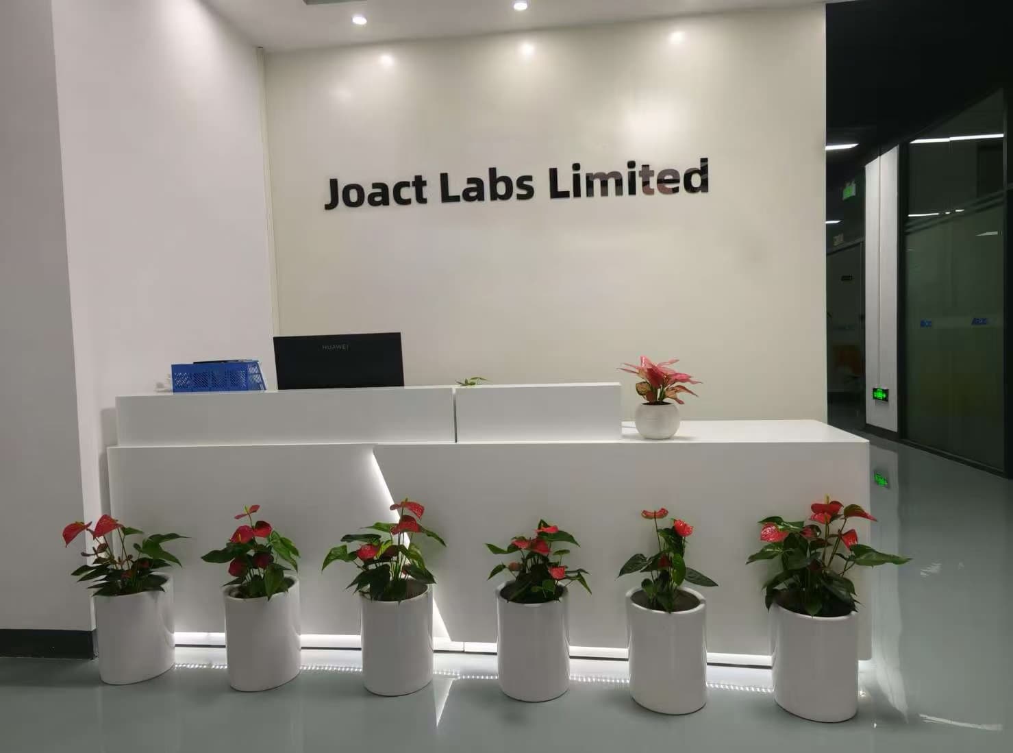 Company Overview